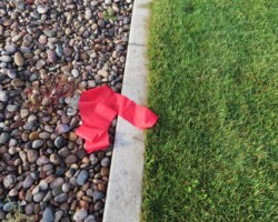 Oops! Which end is inbounds?